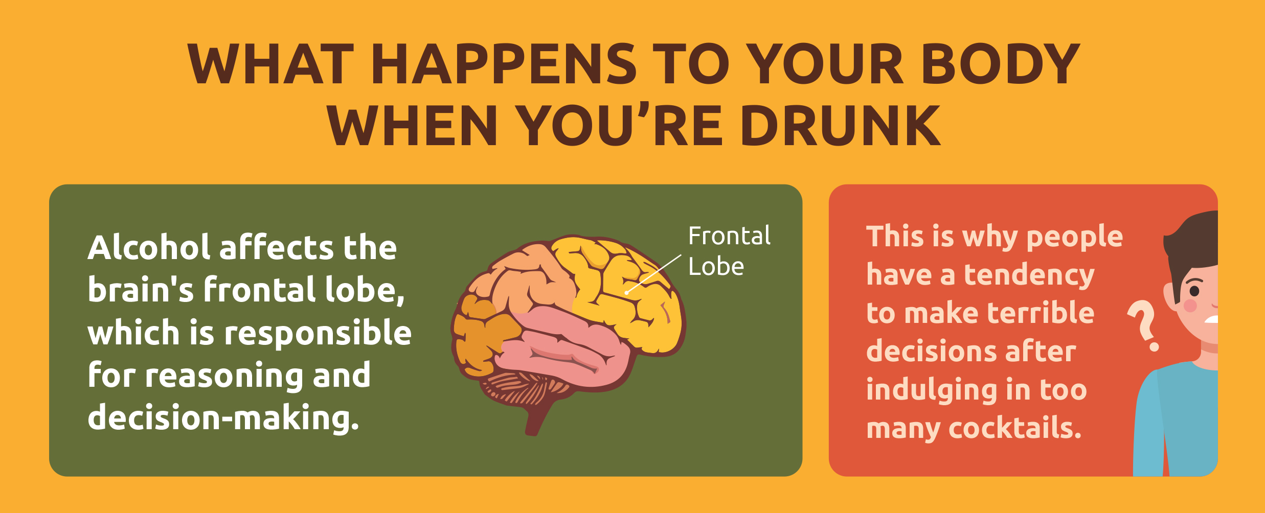What Happens When You Re Drunk Infographic